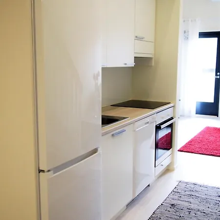 Hilmantori 302 Apartment